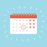What is Palindrome Day and Why You Should Celebrate It